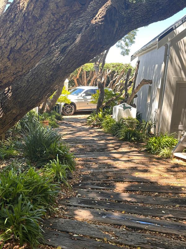 To Let 0 Bedroom Property for Rent in Chapman